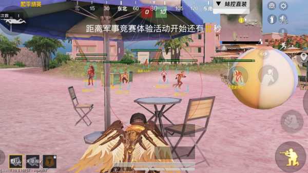 和平精英辅助【内部G简洁版】